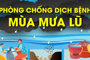 Video - Hướng dẫn phòng, chống dịch bệnh mùa mưa bão