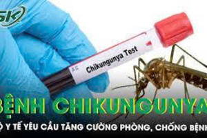 Tăng cường phòng, chống bệnh Chikungunya