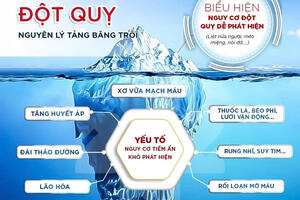 Các yếu tố nguy cơ đột quỵ và cách kiểm soát không dùng thuốc