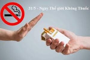 THÔNG ĐIỆP TUYÊN TRUYỀN NGÀY THẾ GIỚI KHÔNG THUỐC LÁ 31/5/2026 TUẦN LỄ QUỐC GIA KHÔNG THUỐC LÁ 25-31/5/2026