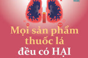 Inforgraphic về thuốc lá