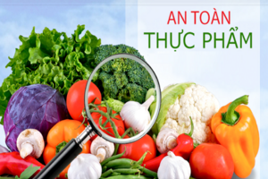Tăng cường kiểm soát, chủ động ứng phó sự cố ngộ độc thực phẩm