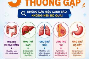 Inforgraphic -  05 bệnh Ung thư thường gặp