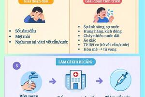 Infographic - Bệnh dại