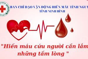 Ngày toàn dân hiến máu tình nguyện 7/4: Những giọt máu nghĩa tình lan tỏa yêu thương