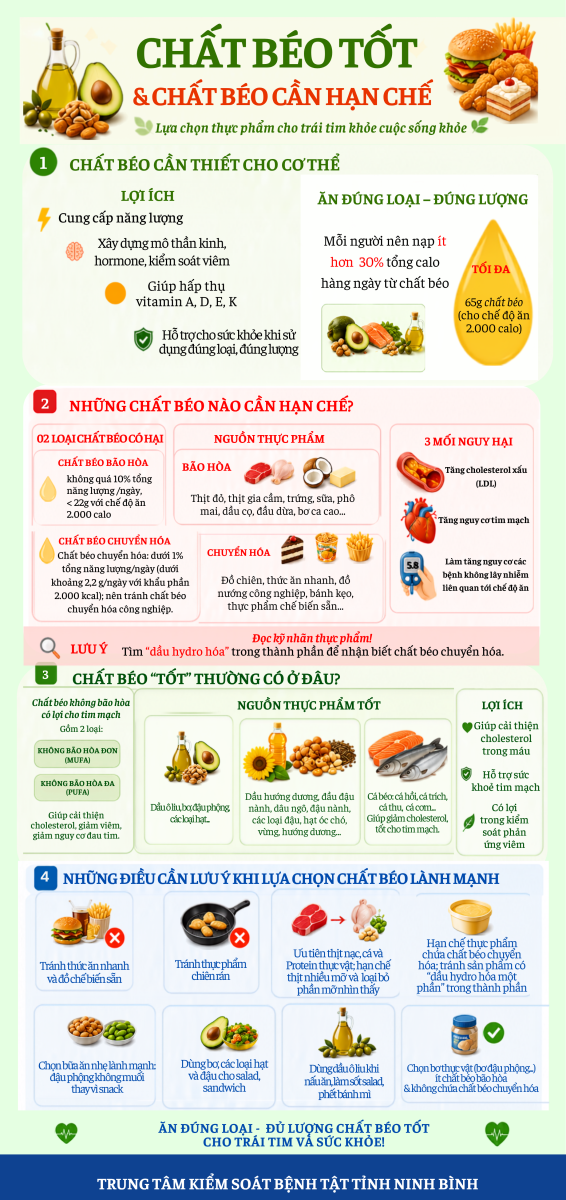 Infographic - Chất béo tốt và chất béo cần hạn chế