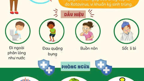 4 yếu tố thuận lợi gây tiêu chảy mùa hè và cách phòng ngừa hiệu quả