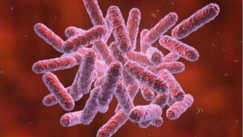 CẢNH GIÁC VỚI BỆNH WHITMORE (MELIOIDOSIS)