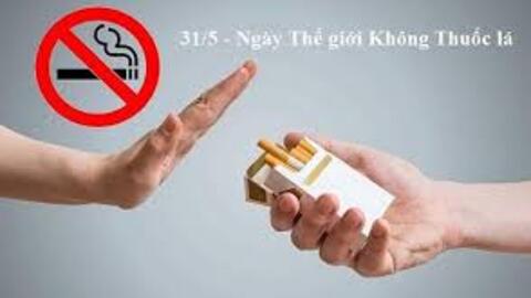 THÔNG ĐIỆP TUYÊN TRUYỀN NGÀY THẾ GIỚI KHÔNG THUỐC LÁ 31/5/2026 TUẦN LỄ QUỐC GIA KHÔNG THUỐC LÁ 25-31/5/2026