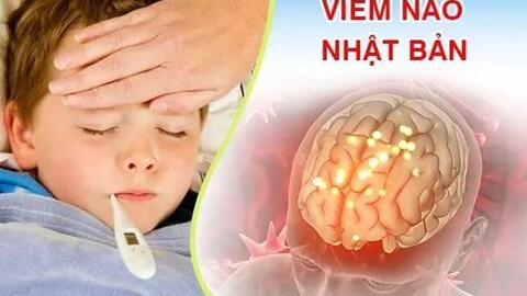 Cảnh giác với bệnh viêm não Nhật Bản ở trẻ em