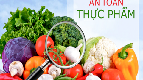 Tăng cường kiểm soát, chủ động ứng phó sự cố ngộ độc thực phẩm