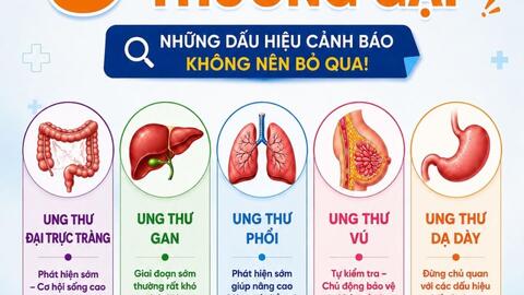Inforgraphic -  05 bệnh Ung thư thường gặp