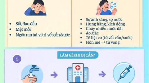 Infographic - Bệnh dại