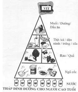 TRANH TÔ MÀU THÁP DINH DƯỠNG VỚI HÌNH ẢNH SINH ĐỘNG CHO TRẺ HỌC TẬP